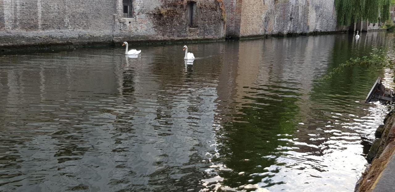 B&B Heart Of Brugge Bagian luar foto