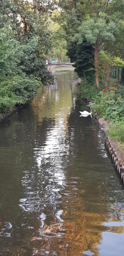 B&B Heart Of Brugge Bagian luar foto